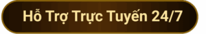 Ho Tro Truc Tuyen 247