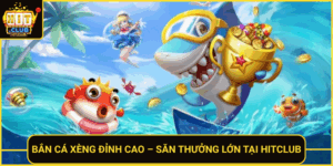 Ban Ca Xeng Dinh Cao San Thuong Lon Tai Hitclub