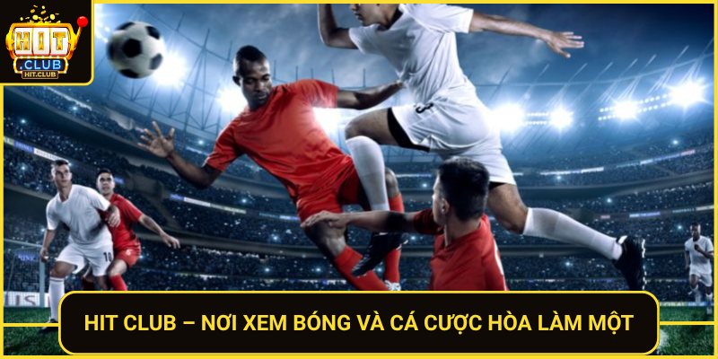 Trực Tiếp Bóng Đá Hôm Nay Siêu Nét – Xem Ngay Tại HitClub 2 Hit Club Noi Xem Bong Va Ca Cuoc Hoa Lam Mot