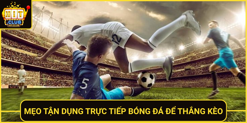 Trực Tiếp Bóng Đá Hôm Nay Siêu Nét – Xem Ngay Tại HitClub 3 Meo Tan Dung Truc Tiep Bong Da De Thang Keo