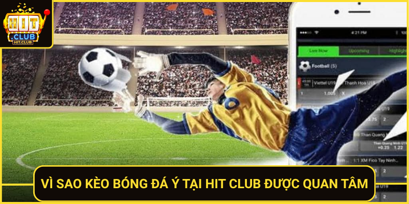 Kèo Bóng Đá Ý Tại Hit Club Hấp Dẫn Với Tỷ Lệ Cạnh Tranh 4 Vi Sao Keo Bong Da Y Tai Hit Club Duoc Quan Tam