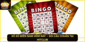 Xo So Mien Nam Hom Nay Soi Cau Chuan Tai Hitclub